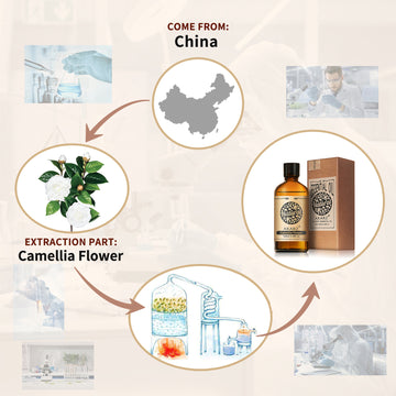 Camellia Flower Essential Oil AKARZ Natural And Pure ( 30ML 100ML)